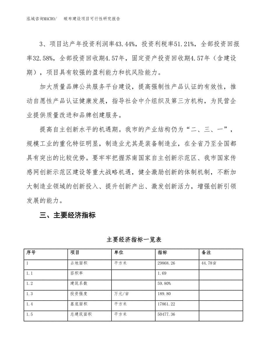 碳布建设项目可行性研究报告（45亩）.docx_第5页