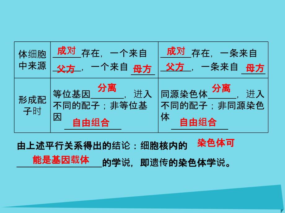 高考生物总复习-第三单元-孟德尔定律、伴性遗传及人类遗传病与健康-第11讲-遗传的染色体学说、伴性遗传及人_第3页