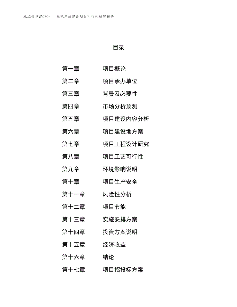 光电产品建设项目可行性研究报告（29亩）.docx_第1页