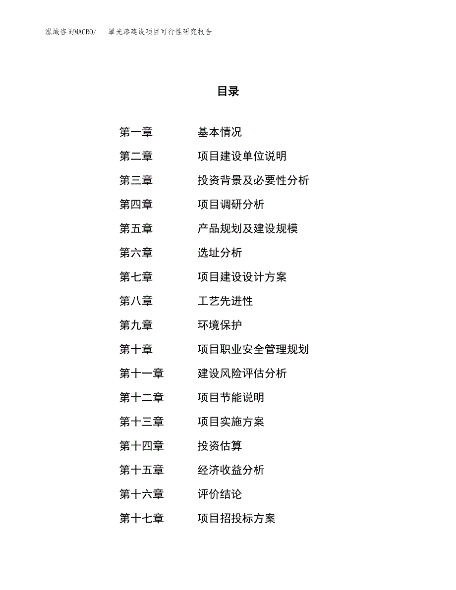 罩光漆建设项目可行性研究报告（62亩）.docx_第1页