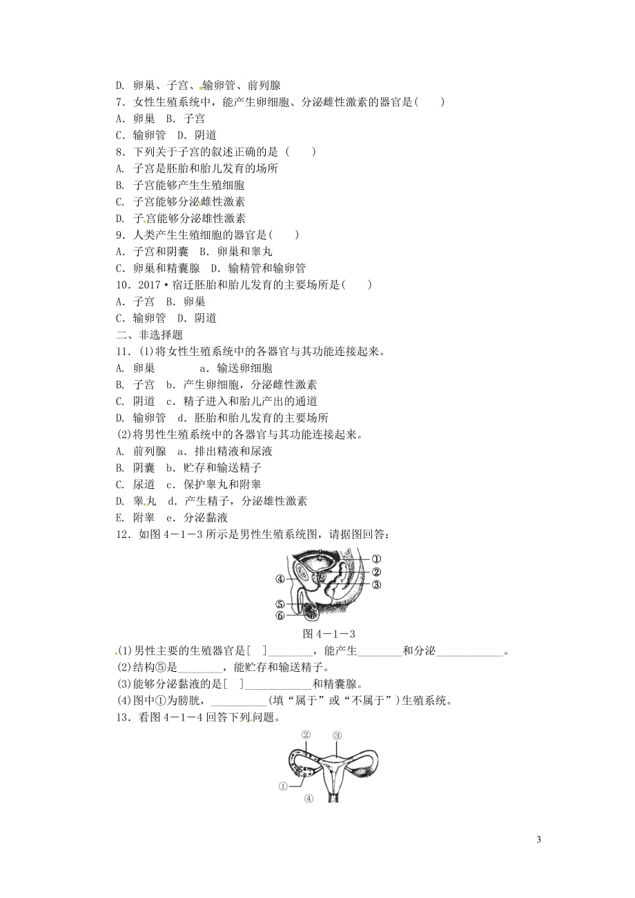 七年级生物下册 第四单元 第一章 第二节 人的生殖（第1课时 人的生殖系统）练习 （新版）新人教版_第3页