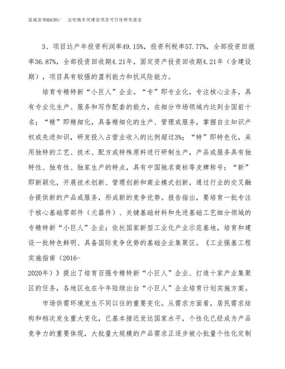 注吹瓶车间建设项目可行性研究报告（74亩）.docx_第5页