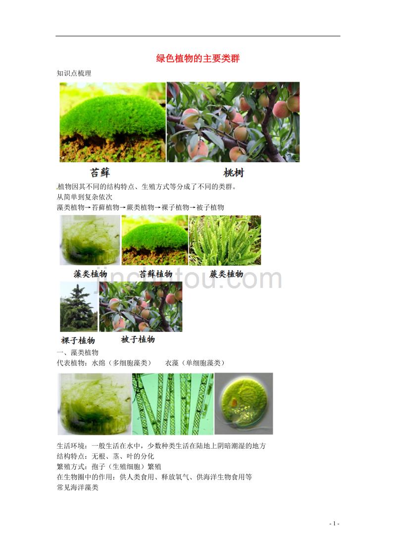 中考生物专题复习 四 绿色植物的主要类群讲义 新人教版_第1页