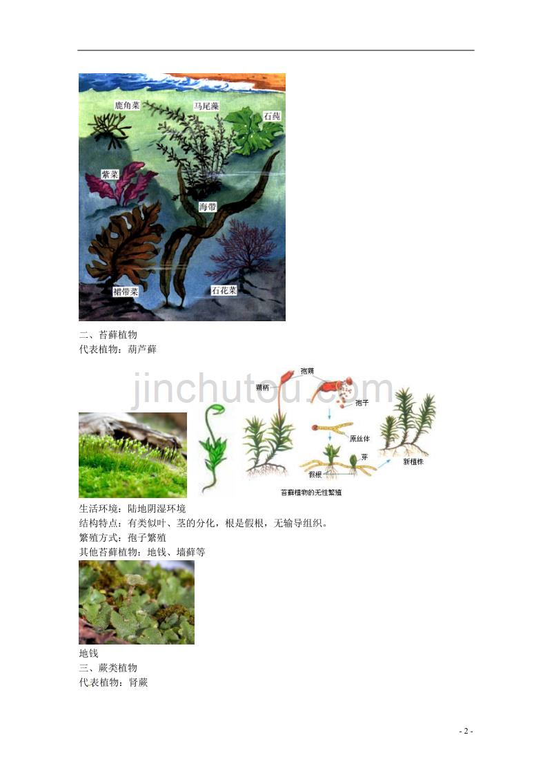 中考生物专题复习 四 绿色植物的主要类群讲义 新人教版_第2页