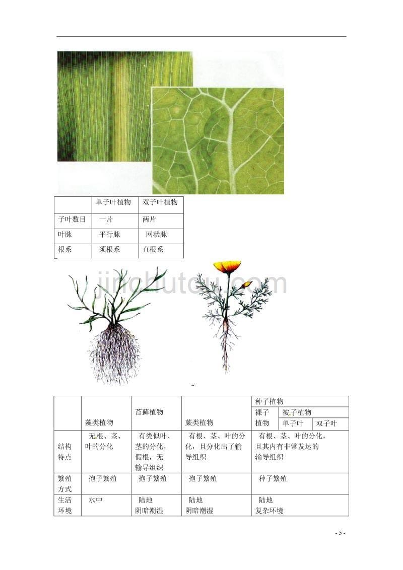 中考生物专题复习 四 绿色植物的主要类群讲义 新人教版_第5页