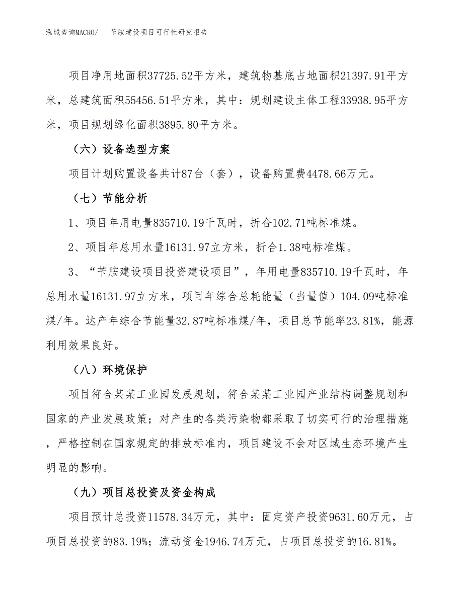 苄胺建设项目可行性研究报告（57亩）.docx_第3页