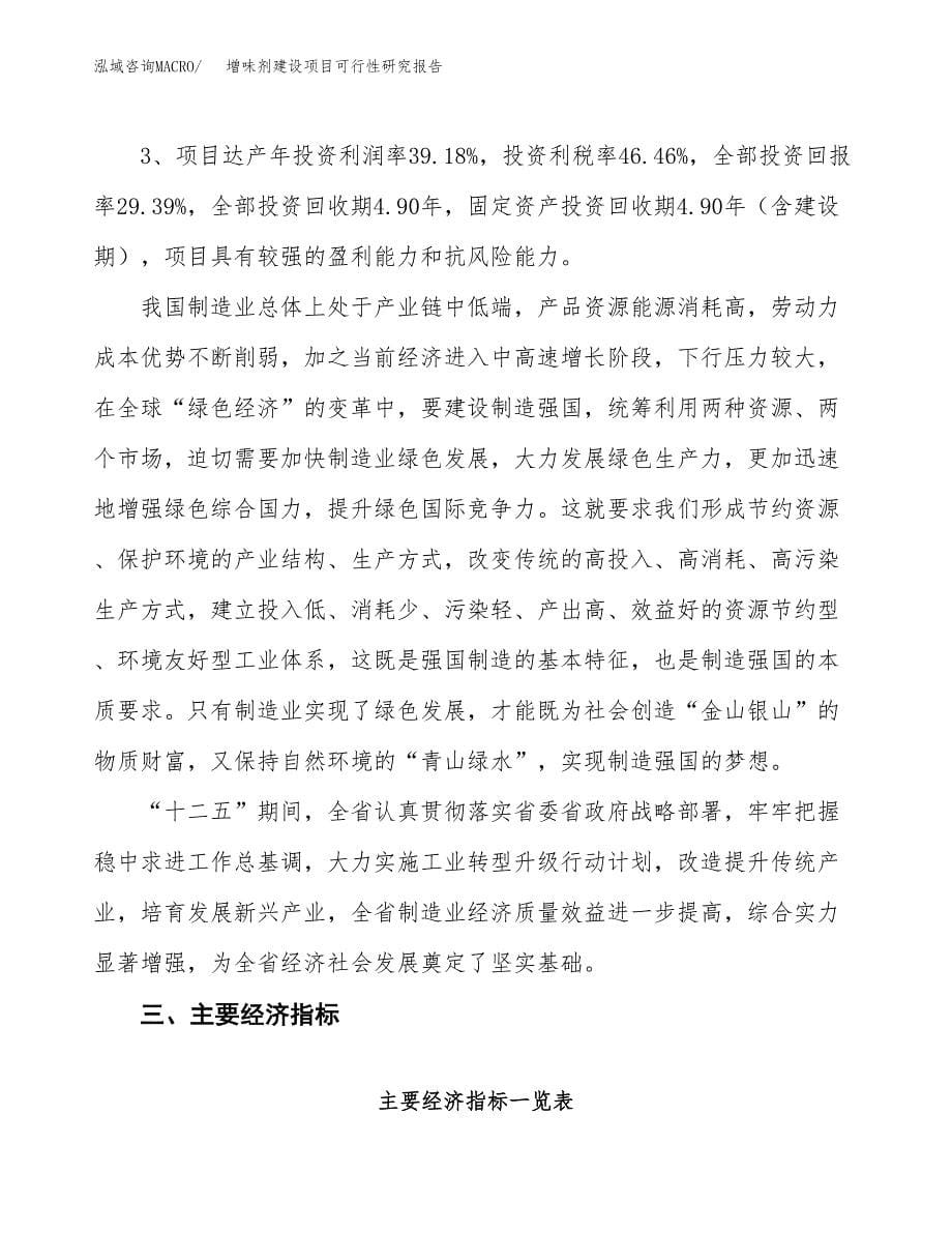 增味剂建设项目可行性研究报告（86亩）.docx_第5页