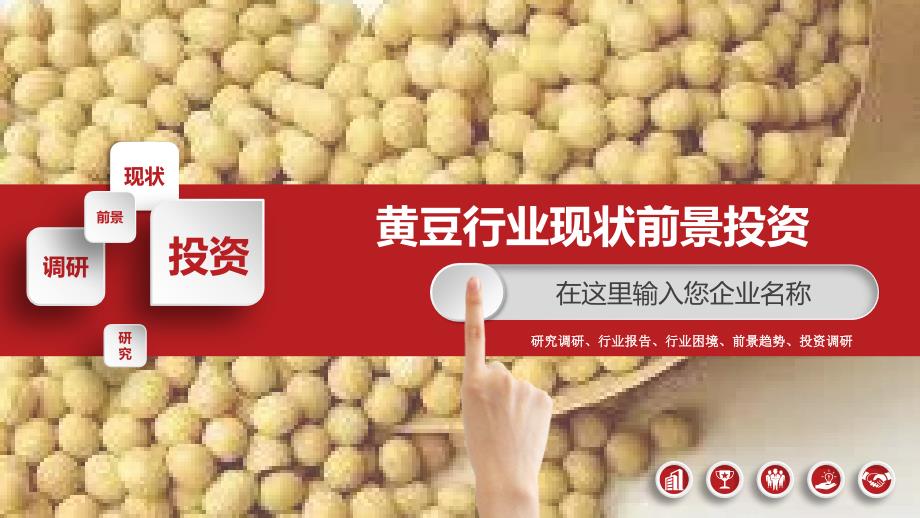 2019黄豆行业现状及前景投资分析_第1页