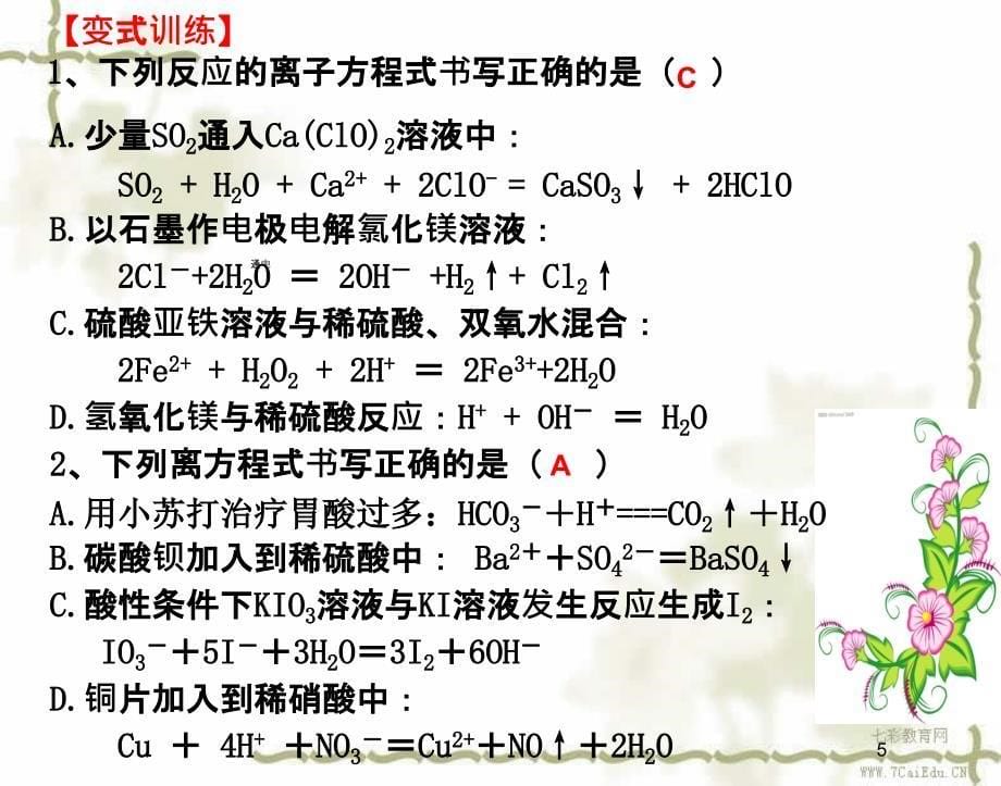 高考化学二轮复习离子反应_第5页