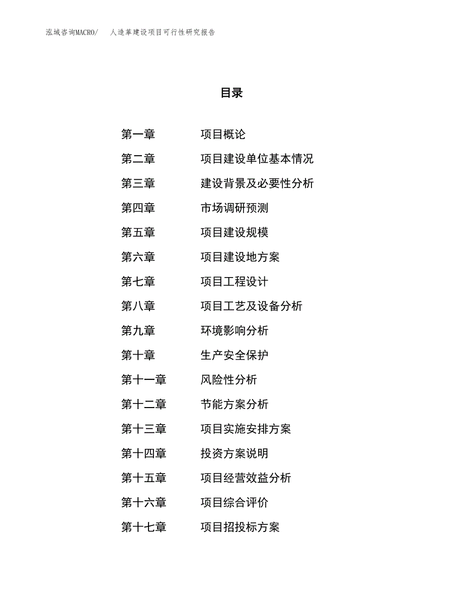 人造革建设项目可行性研究报告（53亩）.docx_第1页