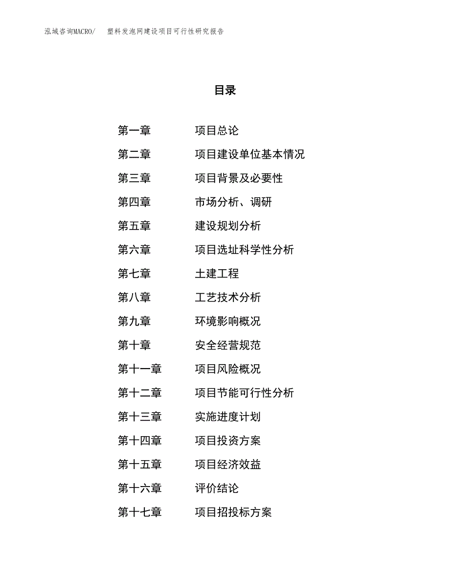 塑料发泡网建设项目可行性研究报告（65亩）.docx_第1页