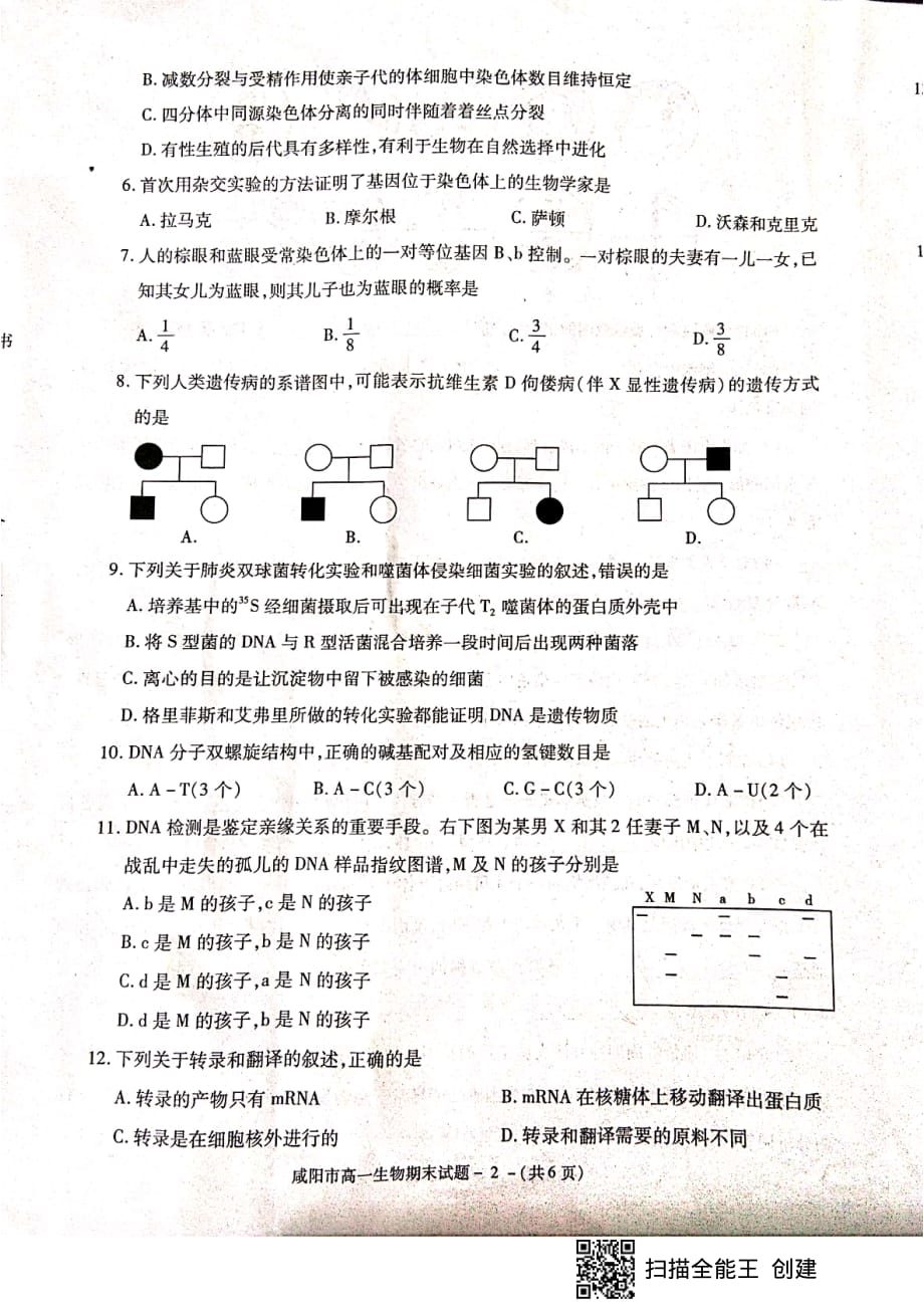 陕西省咸阳市2018-2019学年高一下学期期末教学质量检测生物试题 含答案_第2页