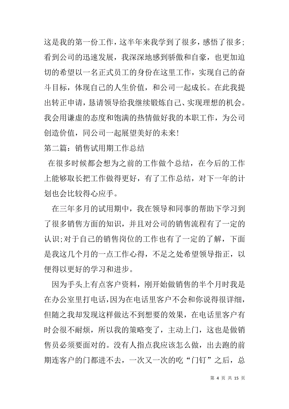 销售员工试用期工作总结(精选多篇).doc_第4页