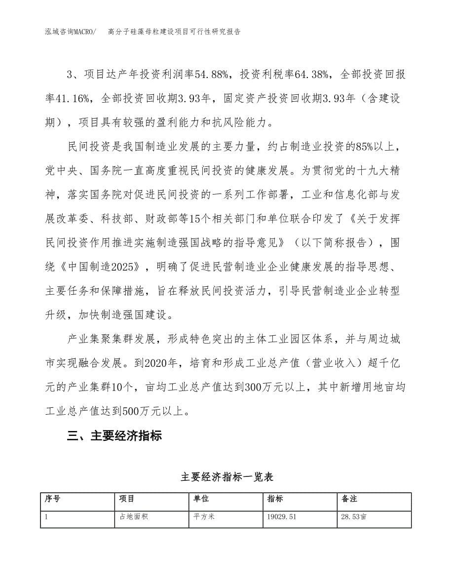 高分子硅藻母粒建设项目可行性研究报告（29亩）.docx_第5页