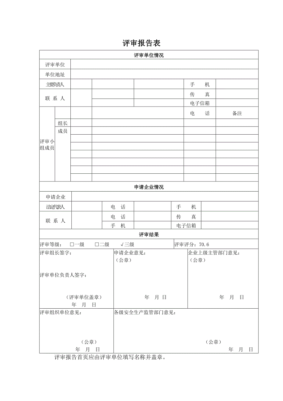 某某工厂安全生产标准化评审报告概要_第1页