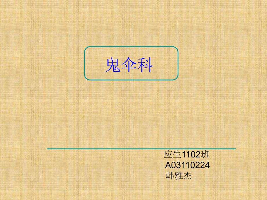 鬼伞科介绍大全(2)_第1页