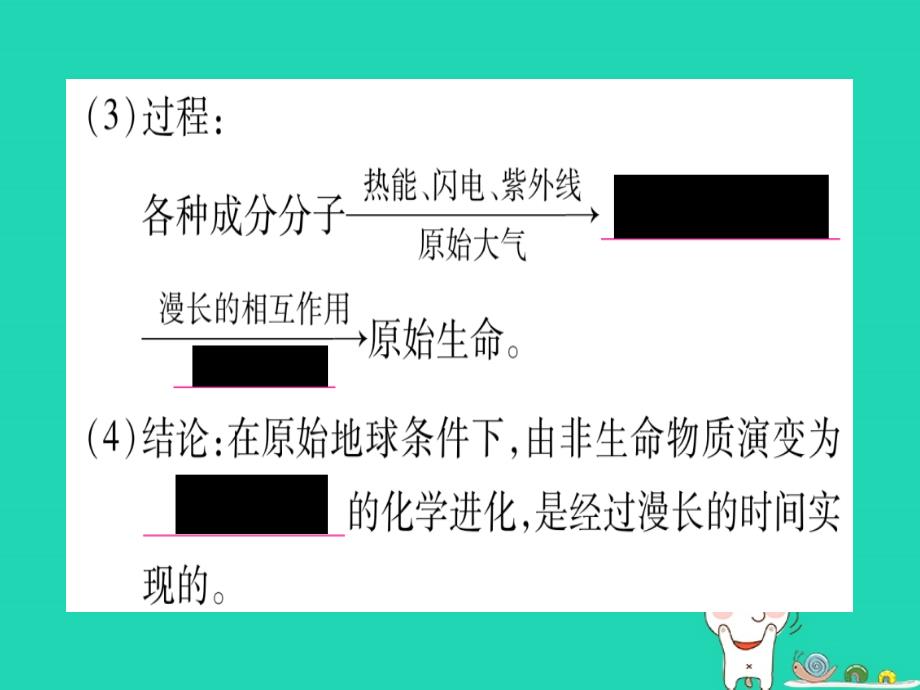 （贵港地区）2019年中考生物总复习 八下 第7单元 第21章 生命的发生和发展课件_第4页