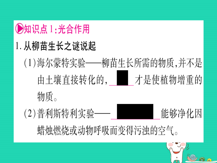 （贵港地区）2019年中考生物总复习 七上 第3单元 第5章 绿色开花植物的生活方式课件_第2页