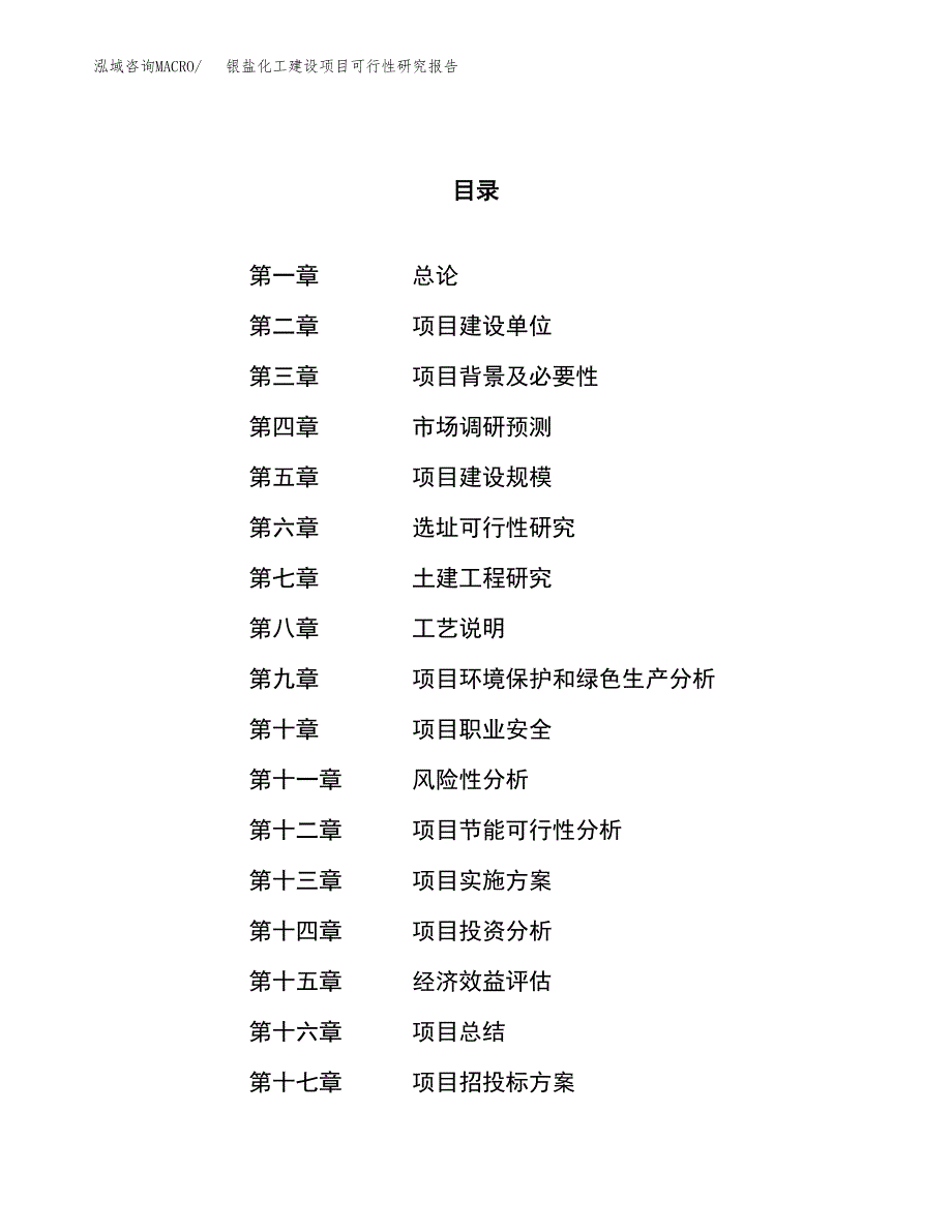 银盐化工建设项目可行性研究报告（25亩）.docx_第1页