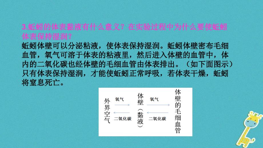 八年级生物上册 第五单元 第一章 第二节 线形动物和环节动物《环节动物》课件 （新版）新人教版_第3页