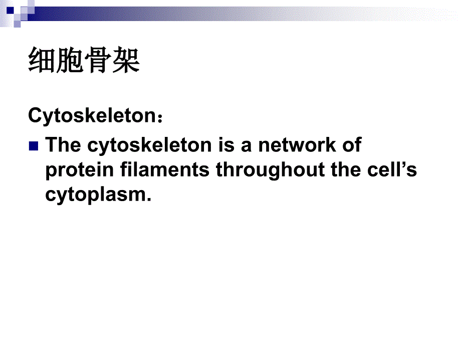 和微管结合蛋白_第2页