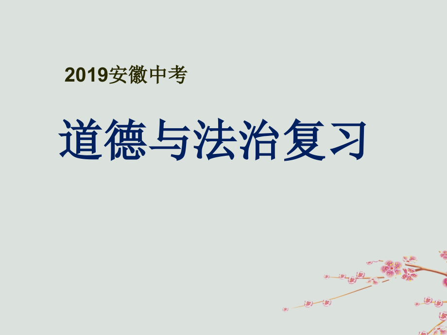 安徽省2019届中考道德与法治复习 考点解读课件_第1页