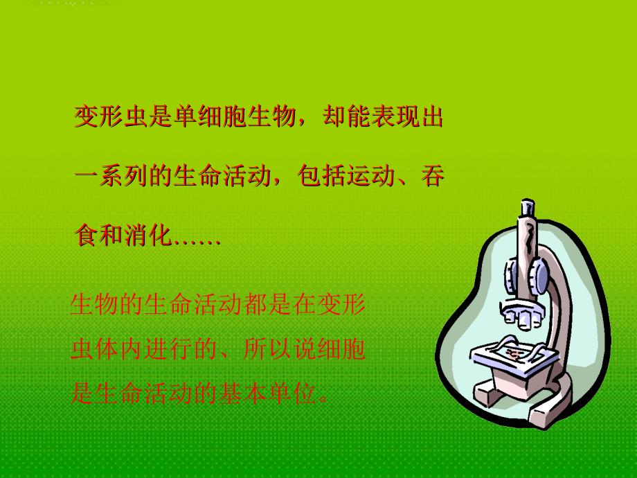 湖北省汉川实验中学七年级生物上册-细胞是生命活动的单位课件-人教新课标版_第4页