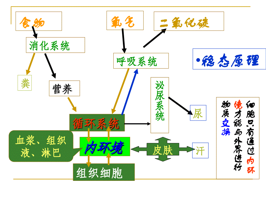 护士执业资格考试外科护理学1_第4页