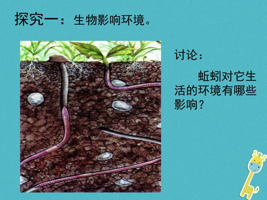 福建省浦城县七年级生物上册 1.2 生物与环境的相互影响课件2 （新版）北师大版_第4页