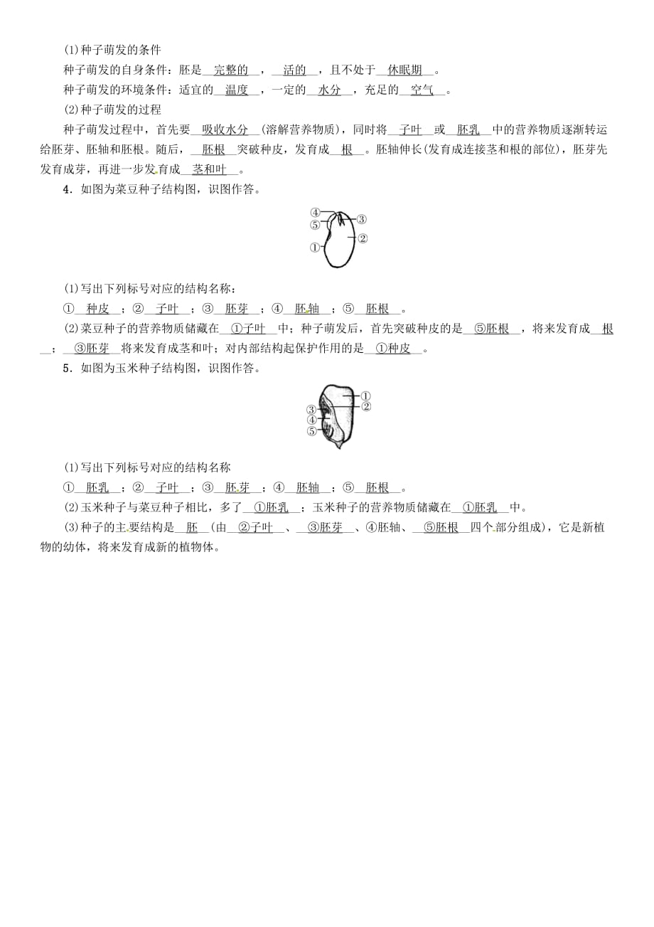 （襄阳专版）2018年中考生物总复习 必背知识过关卡 4 植物类群_第2页