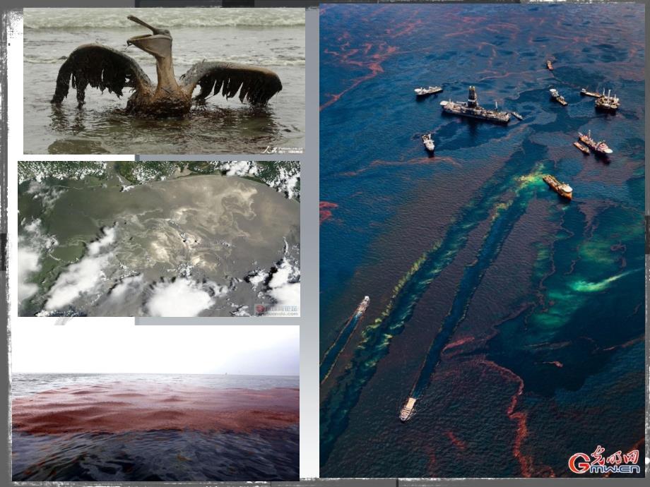 海洋石油污染(1)_第4页