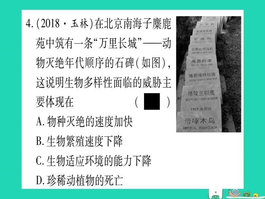 （玉林专版）2019年中考生物总复习 八上 第6单元 生物的多样性及其保护习题课件_第5页