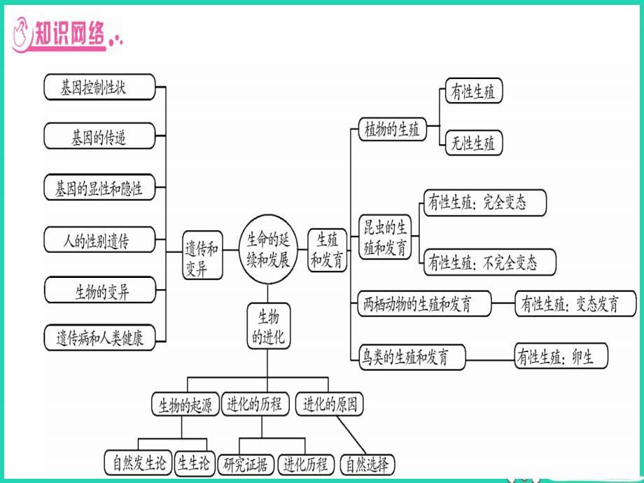 （贵港地区）2019年中考生物总复习 第二篇 知能综合突破 专题5 生物的生殖 发育和遗传课件_第2页