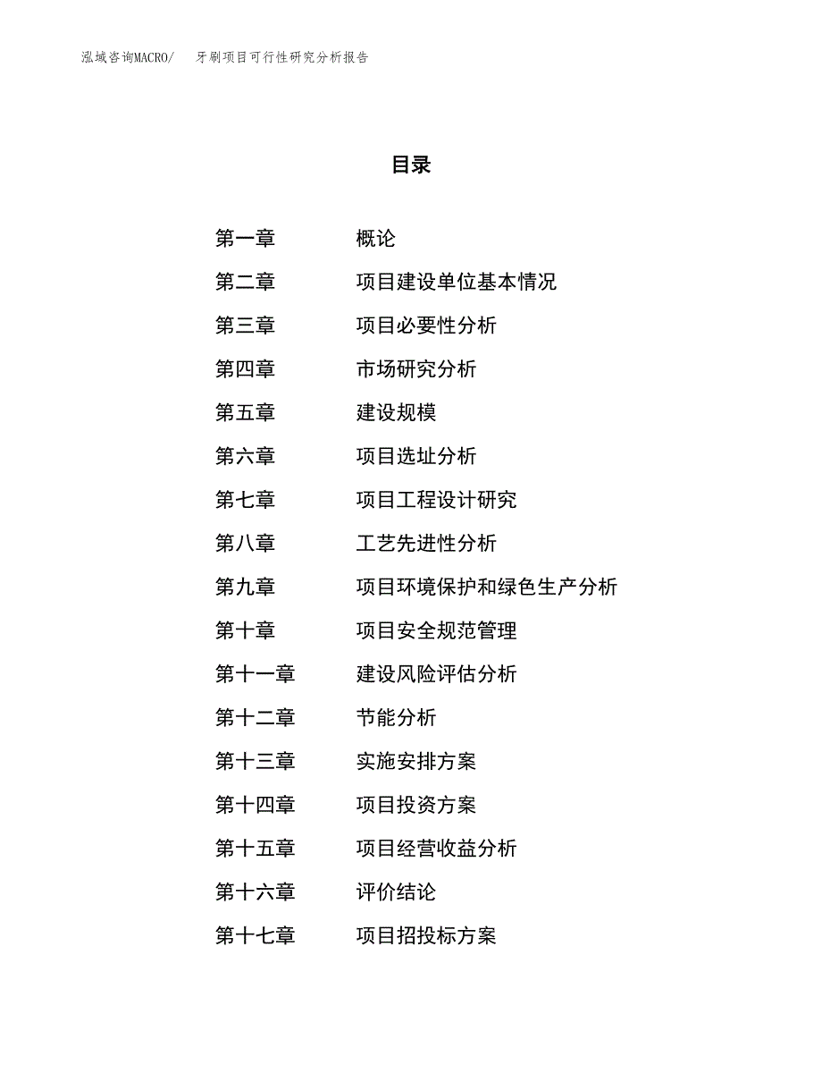 项目公示_牙刷项目可行性研究分析报告.docx_第1页