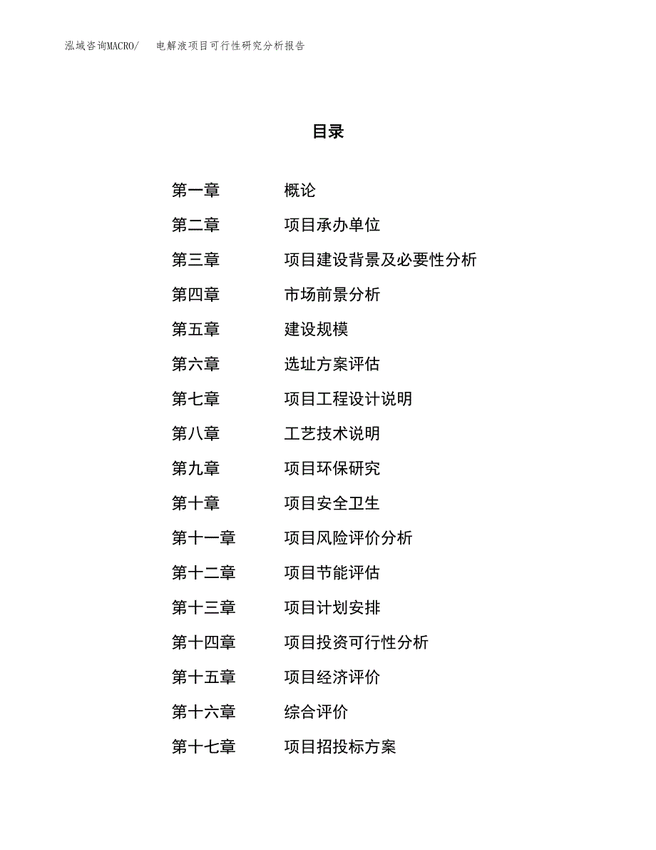 项目公示_电解液项目可行性研究分析报告.docx_第1页