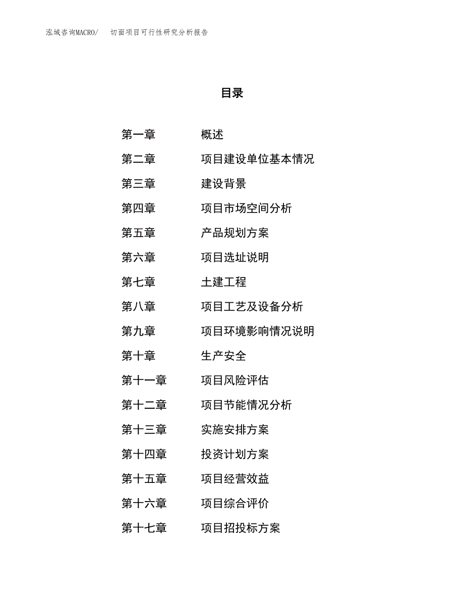 项目公示_切面项目可行性研究分析报告.docx_第1页