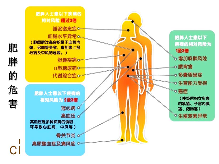 嘉康利产品纤奇系列_第3页