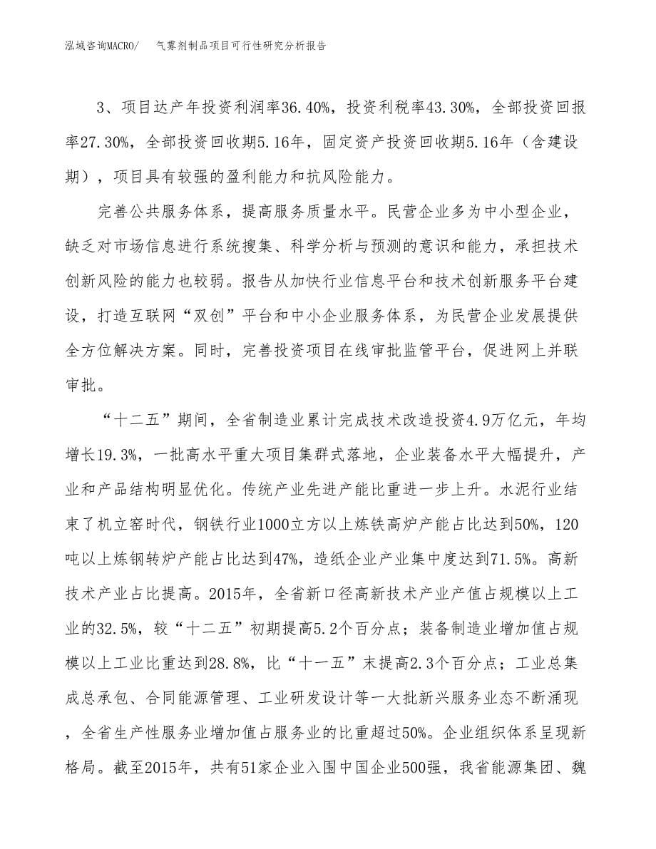 项目公示_气雾剂制品项目可行性研究分析报告.docx_第5页