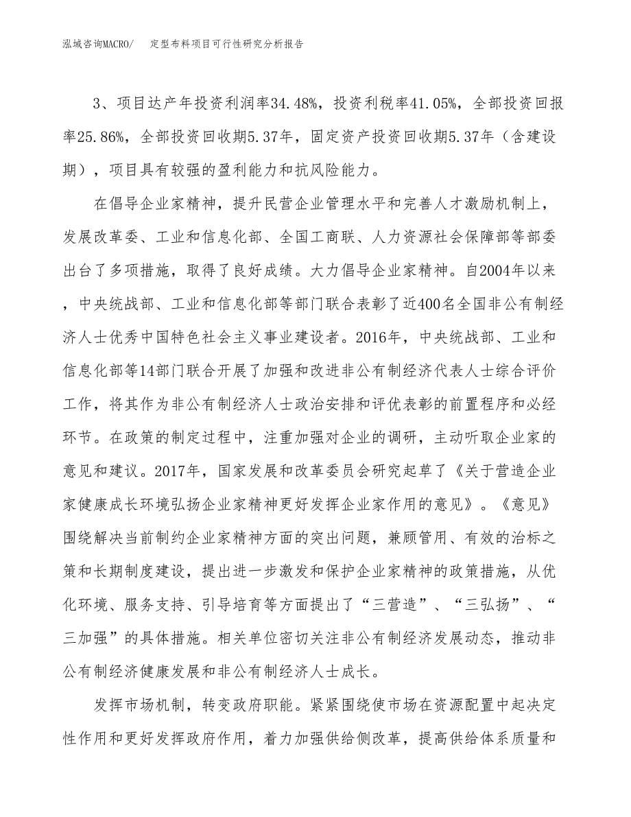 项目公示_定型布料项目可行性研究分析报告.docx_第5页