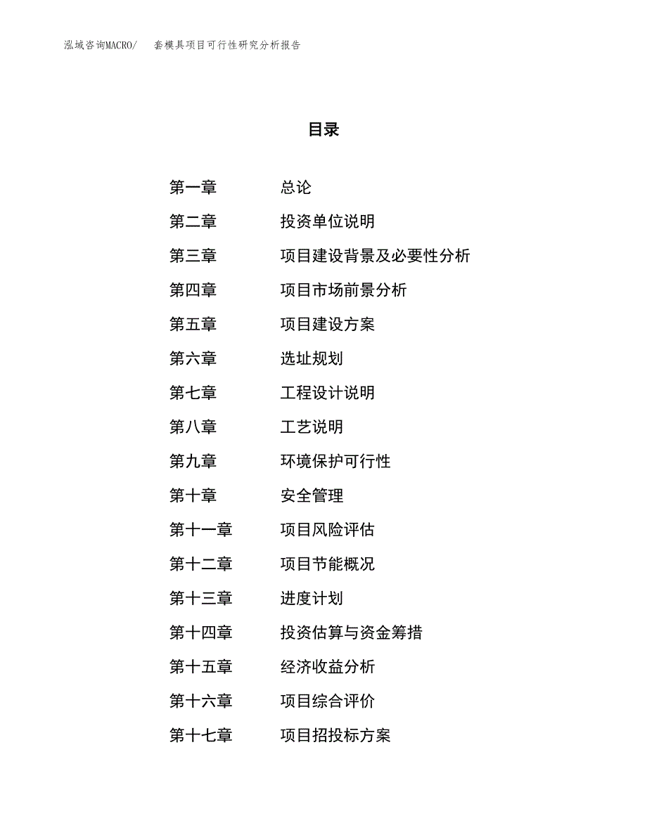 项目公示_套模具项目可行性研究分析报告.docx_第1页