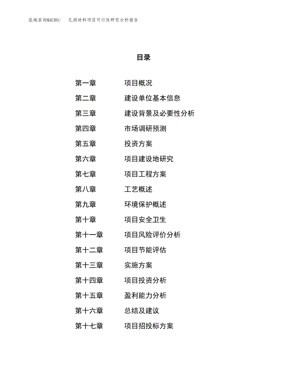 项目公示_孔洞材料项目可行性研究分析报告.docx_第1页