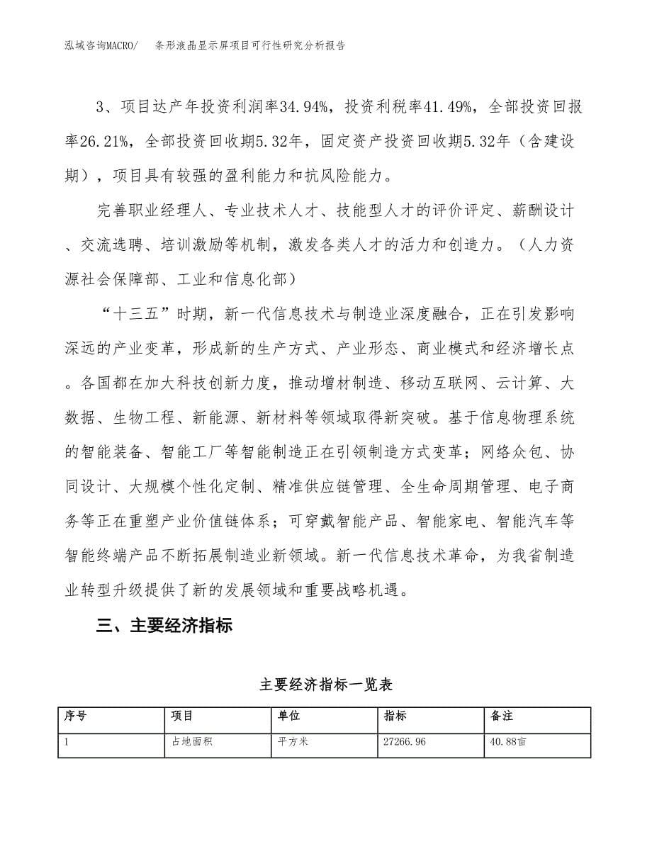 项目公示_条形液晶显示屏项目可行性研究分析报告.docx_第5页