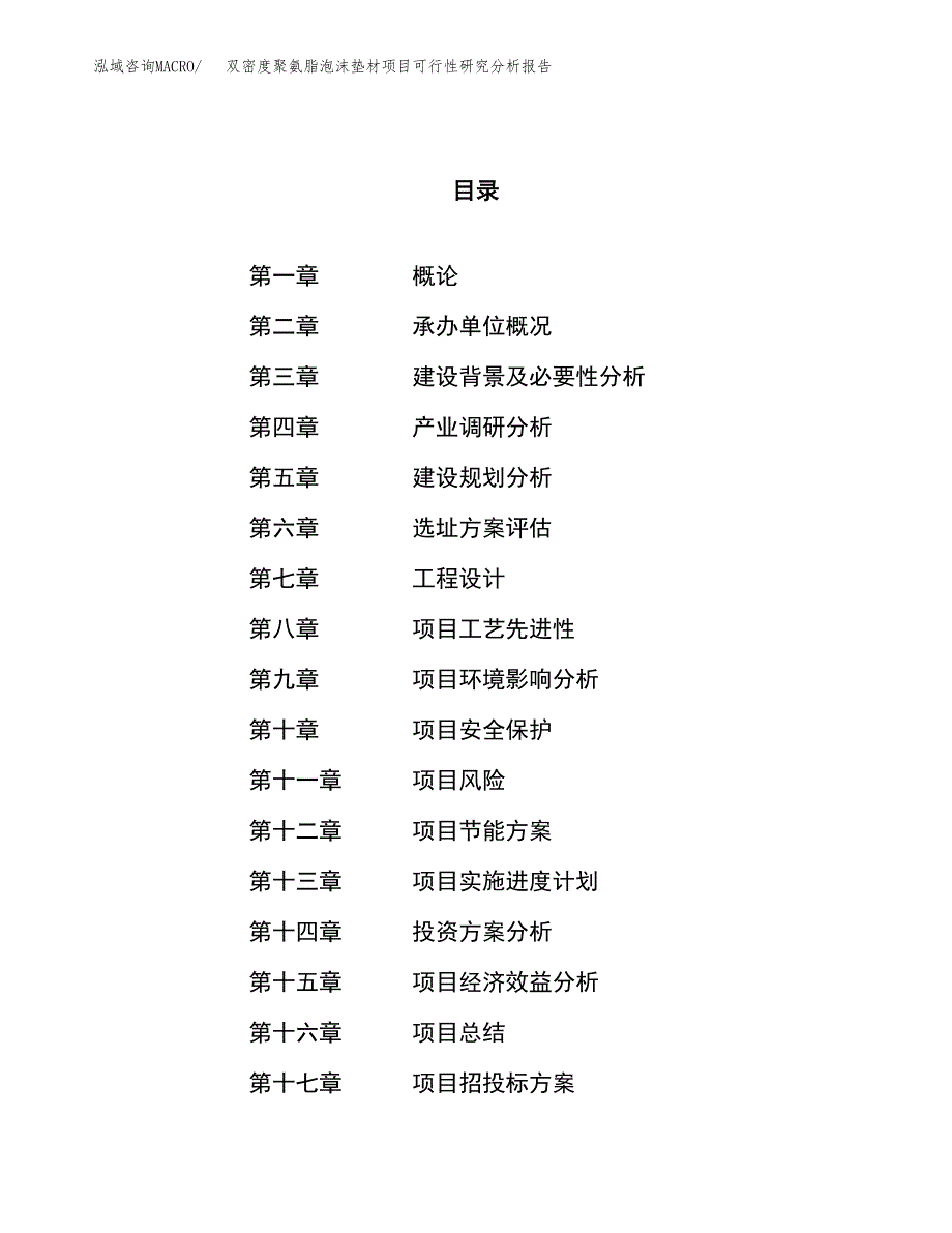 项目公示_双密度聚氨脂泡沫垫材项目可行性研究分析报告.docx_第1页