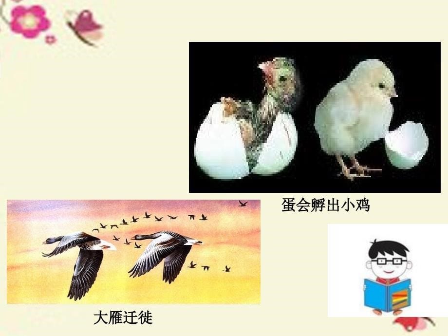 2016春三年级科学下册 7.2《我也能当科学家》课件2 大象版_第5页