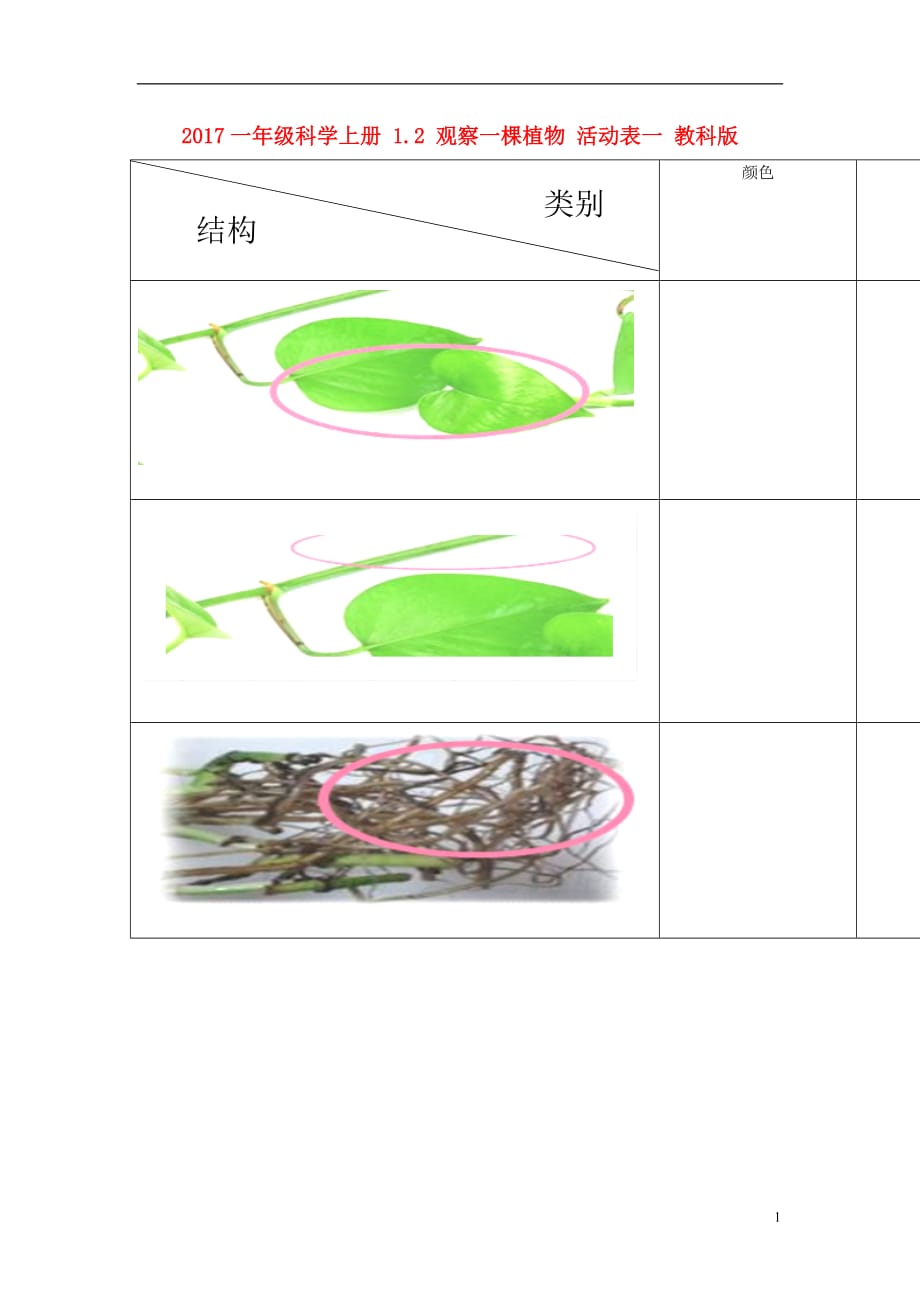 2017一年级科学上册 1.2 观察一棵植物 活动表一素材 教科版_第1页