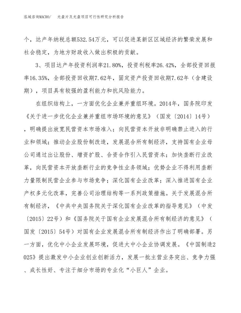 项目公示_光盘片及光盘项目可行性研究分析报告.docx_第5页