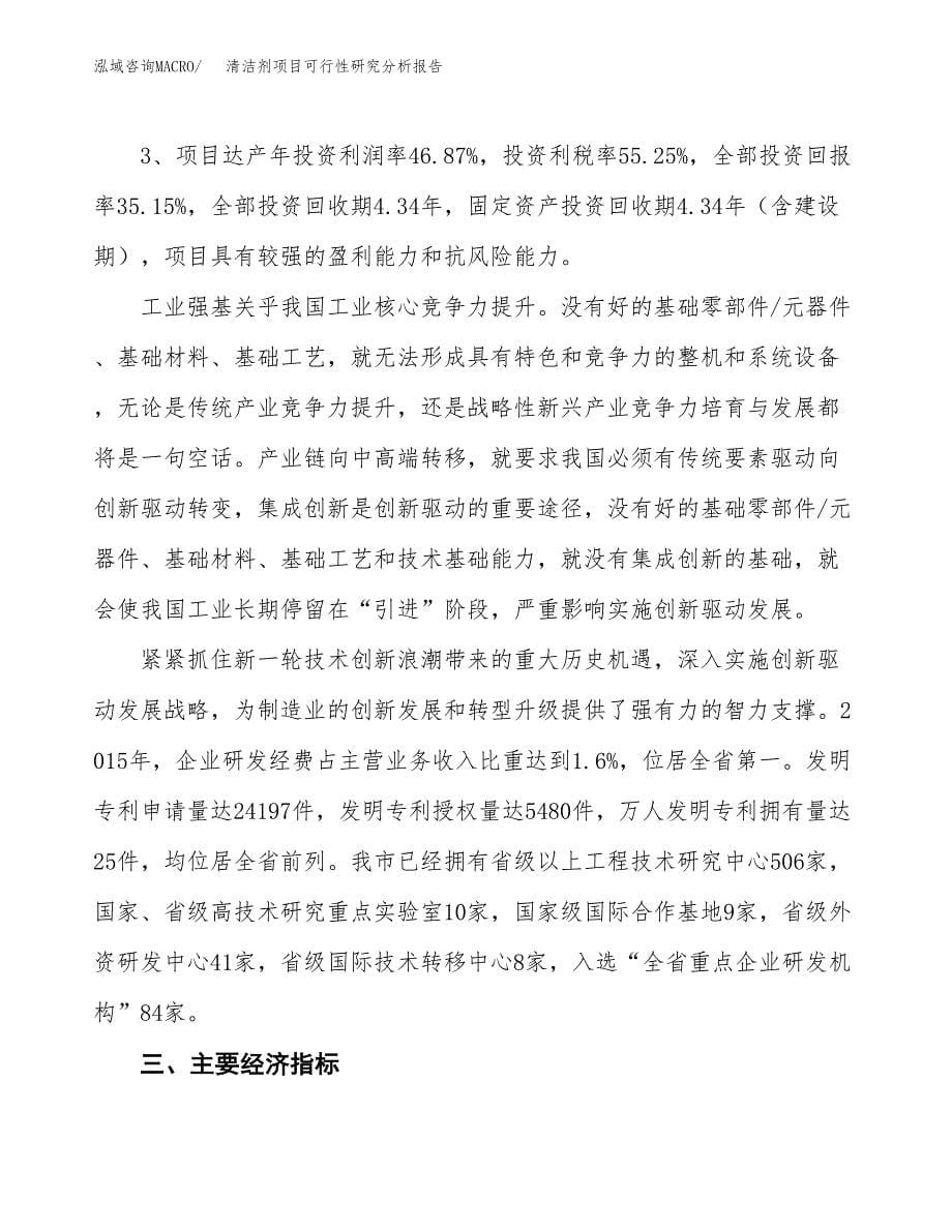 项目公示_清洁剂项目可行性研究分析报告.docx_第5页