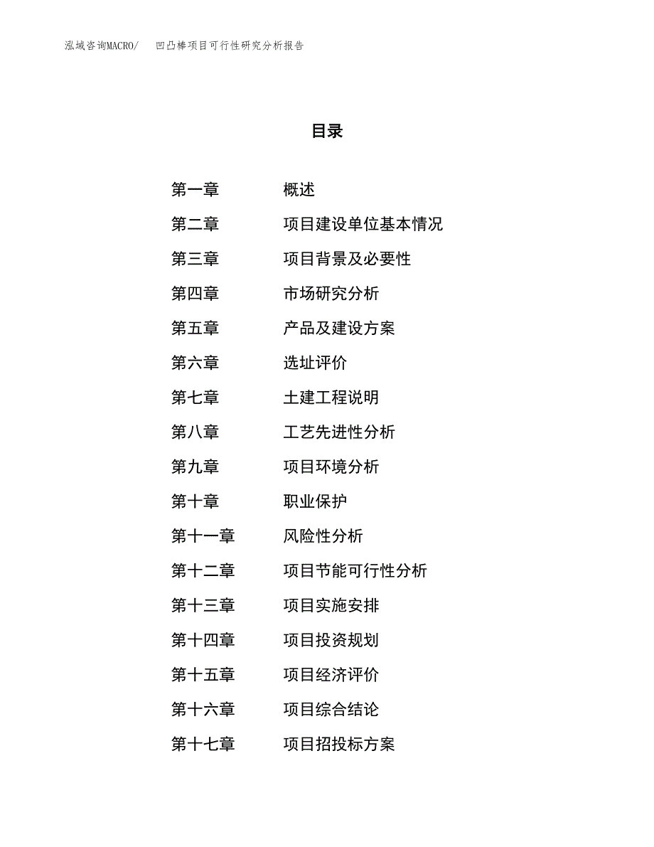 项目公示_凹凸棒项目可行性研究分析报告.docx_第1页