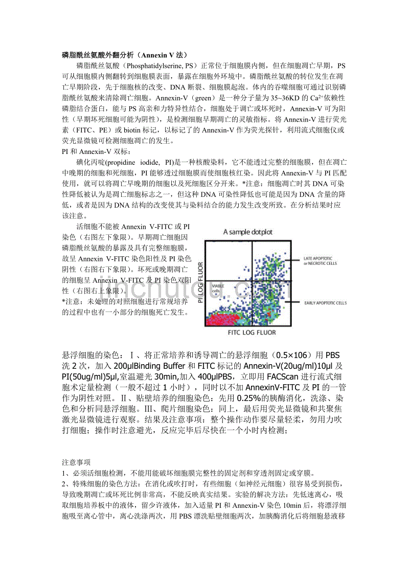 annexin v和pi染色步骤及注意事项_第1页