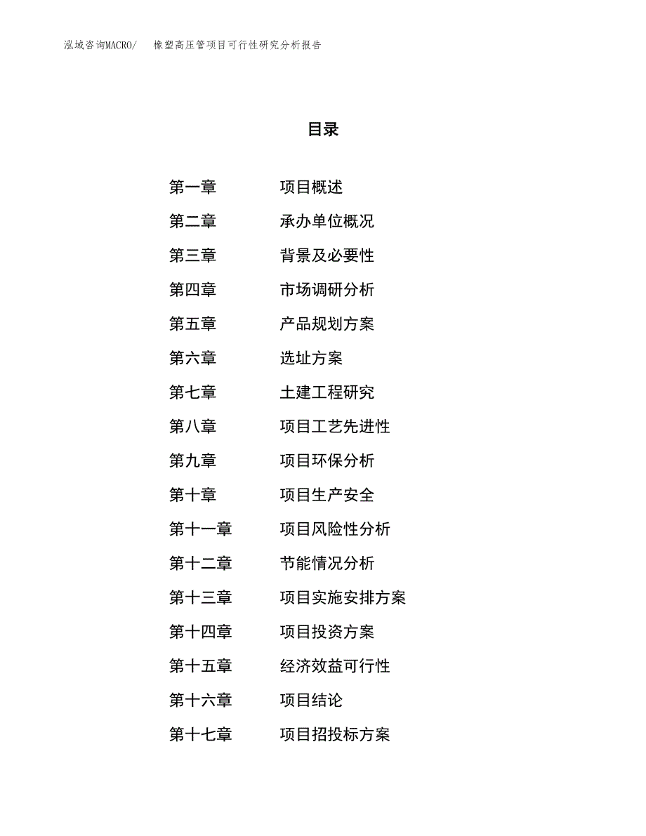 项目公示_橡塑高压管项目可行性研究分析报告.docx_第1页